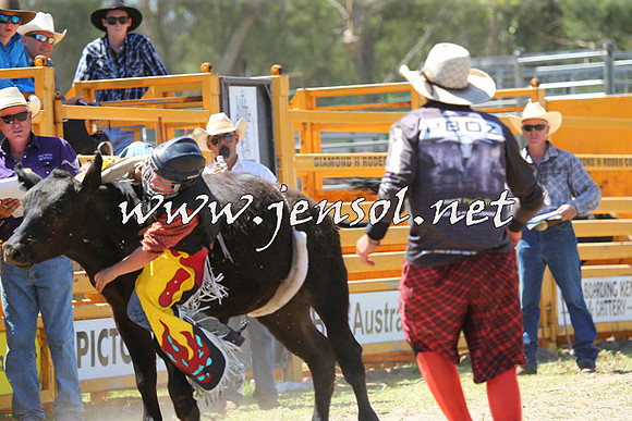 PictonRodeo2015_1139