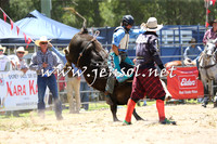 PictonRodeo2015_0526
