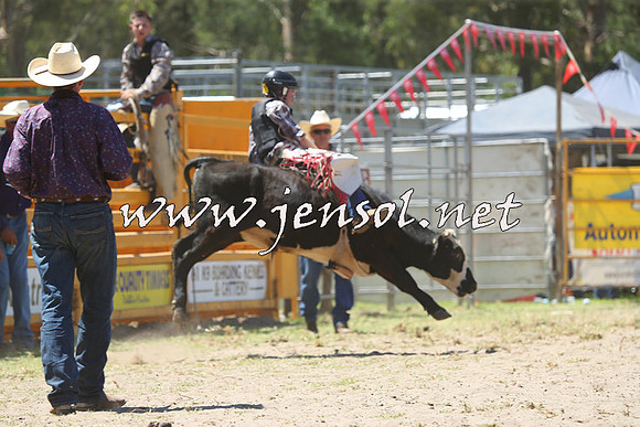 PictonRodeo2015_1123