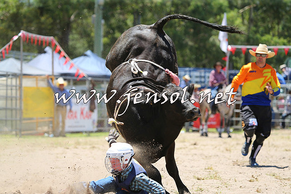 PictonRodeo2015_0561