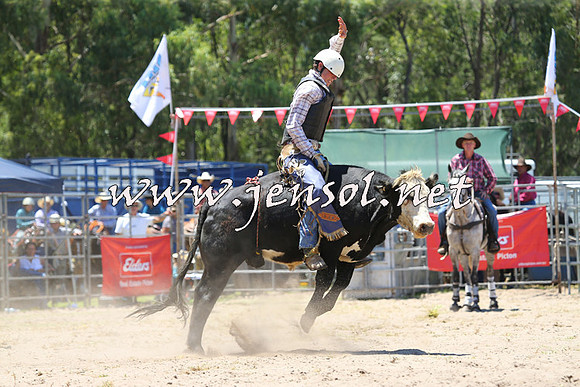 PictonRodeo2015_0749