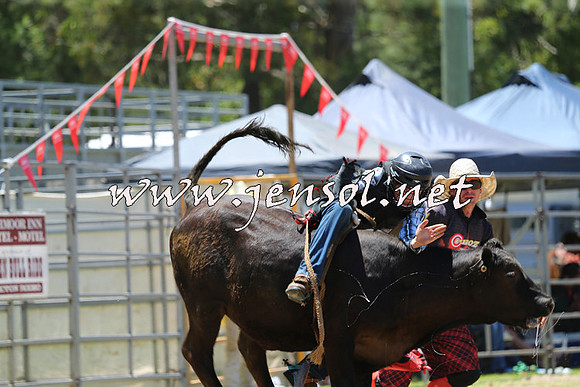PictonRodeo2015_0720