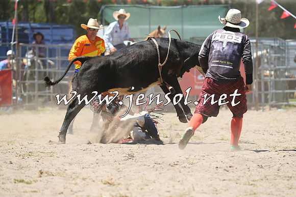 PictonRodeo2015_1126
