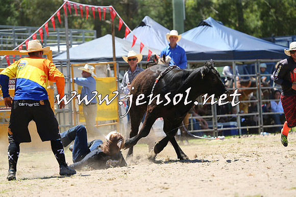 PictonRodeo2015_0778