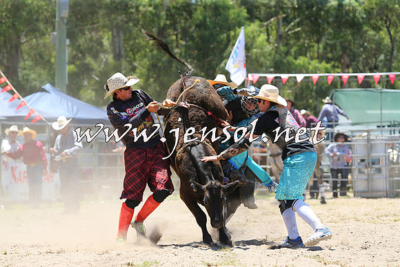 PictonRodeo2015_0648