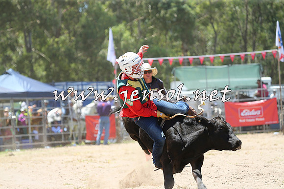 PictonRodeo2015_0794