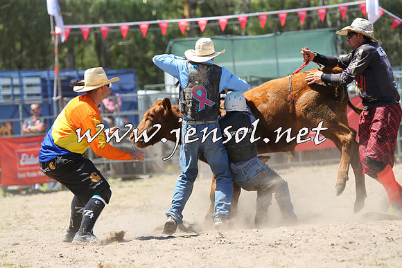PictonRodeo2015_1098