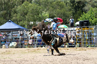 PictonRodeo2015_0539