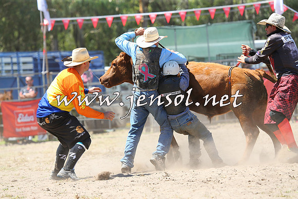 PictonRodeo2015_1104