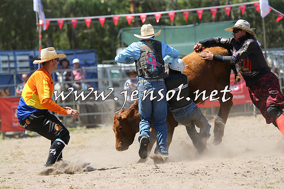 PictonRodeo2015_1100