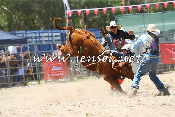 PictonRodeo2015_1105