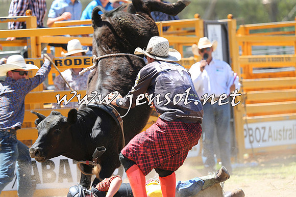 PictonRodeo2015_1143