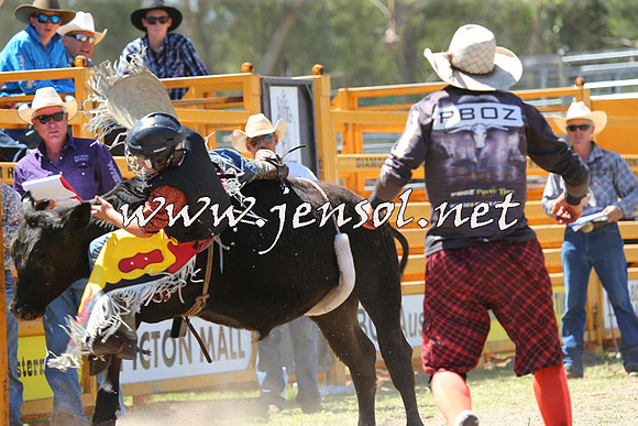PictonRodeo2015_1140