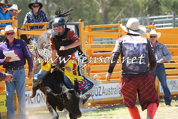 PictonRodeo2015_1142