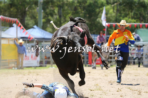 PictonRodeo2015_0562