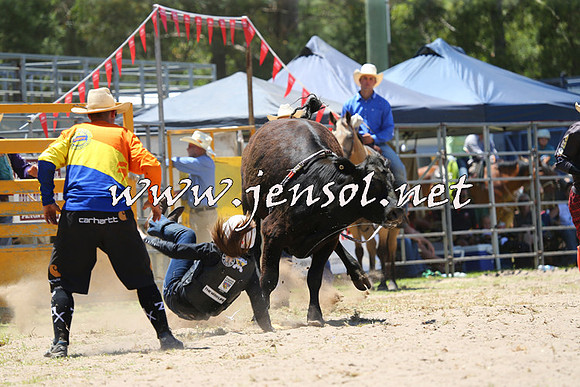 PictonRodeo2015_0781
