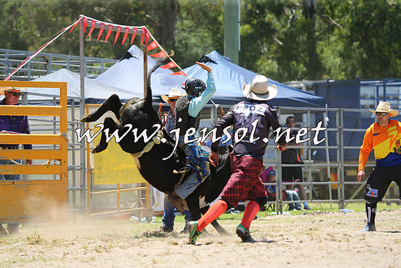 PictonRodeo2015_0616