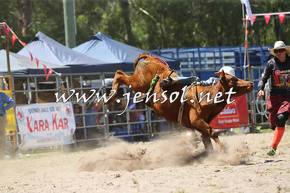 PictonRodeo2015_1089