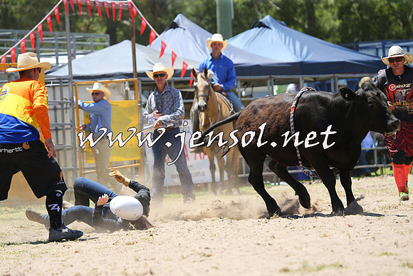 PictonRodeo2015_0777