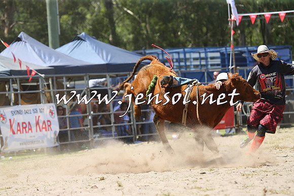 PictonRodeo2015_1086