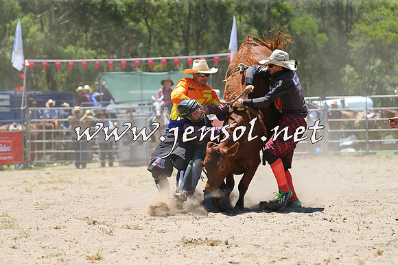PictonRodeo2015_0593
