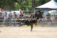 PictonRodeo2015_0513