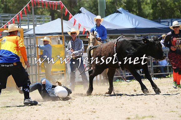 PictonRodeo2015_0779