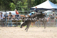 PictonRodeo2015_0515