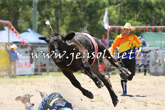 PictonRodeo2015_0563