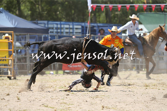 PictonRodeo2015_1137