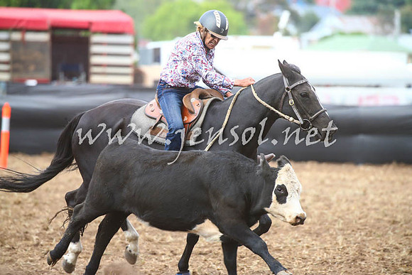 NimmitabelCampdraft2017_0648