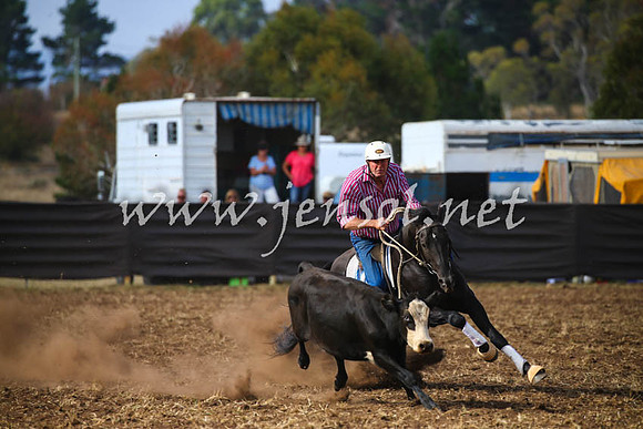 NimmitabelCampdraft2017_0585