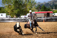 NimmitabelCampdraft2017_0572