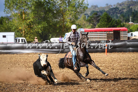 NimmitabelCampdraft2017_0572