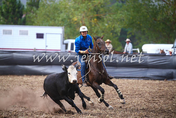 NimmitabelCampdraft2017_0653