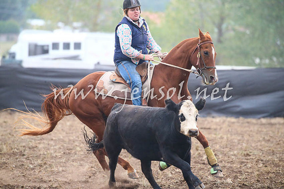 NimmitabelCampdraft2017_0683
