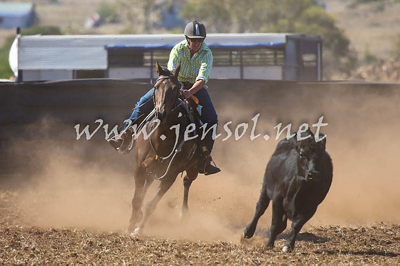NimmitabelCampdraft2017_0480