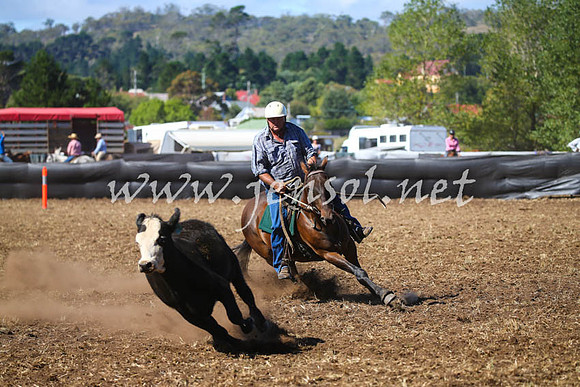 NimmitabelCampdraft2017_0539