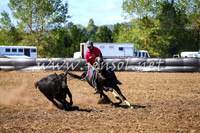 NimmitabelCampdraft2017_0460