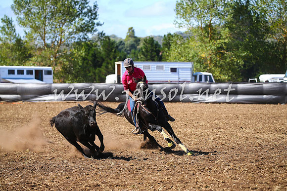 NimmitabelCampdraft2017_0460