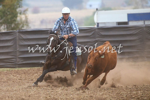 NimmitabelCampdraft2017_0699