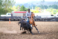 NimmitabelCampdraft2017_0626