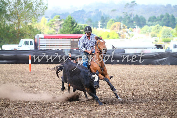 NimmitabelCampdraft2017_0626