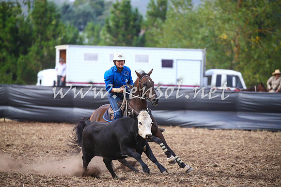 NimmitabelCampdraft2017_0660