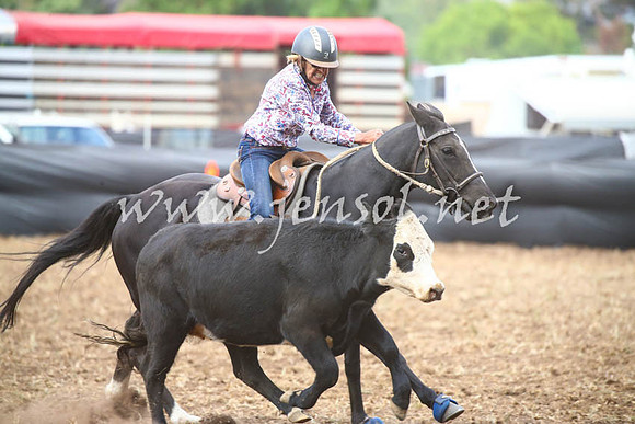 NimmitabelCampdraft2017_0641