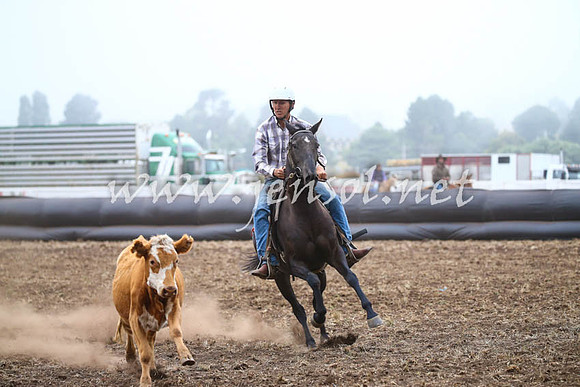 NimmitabelCampdraft2017_0730