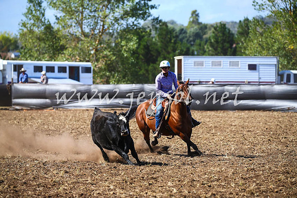 NimmitabelCampdraft2017_0532