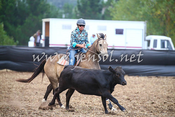 NimmitabelCampdraft2017_0675