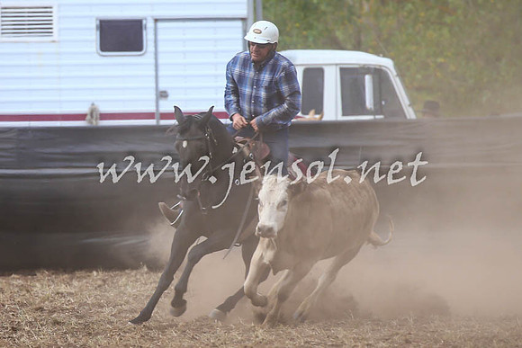 NimmitabelCampdraft2017_0634