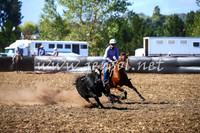 NimmitabelCampdraft2017_0534